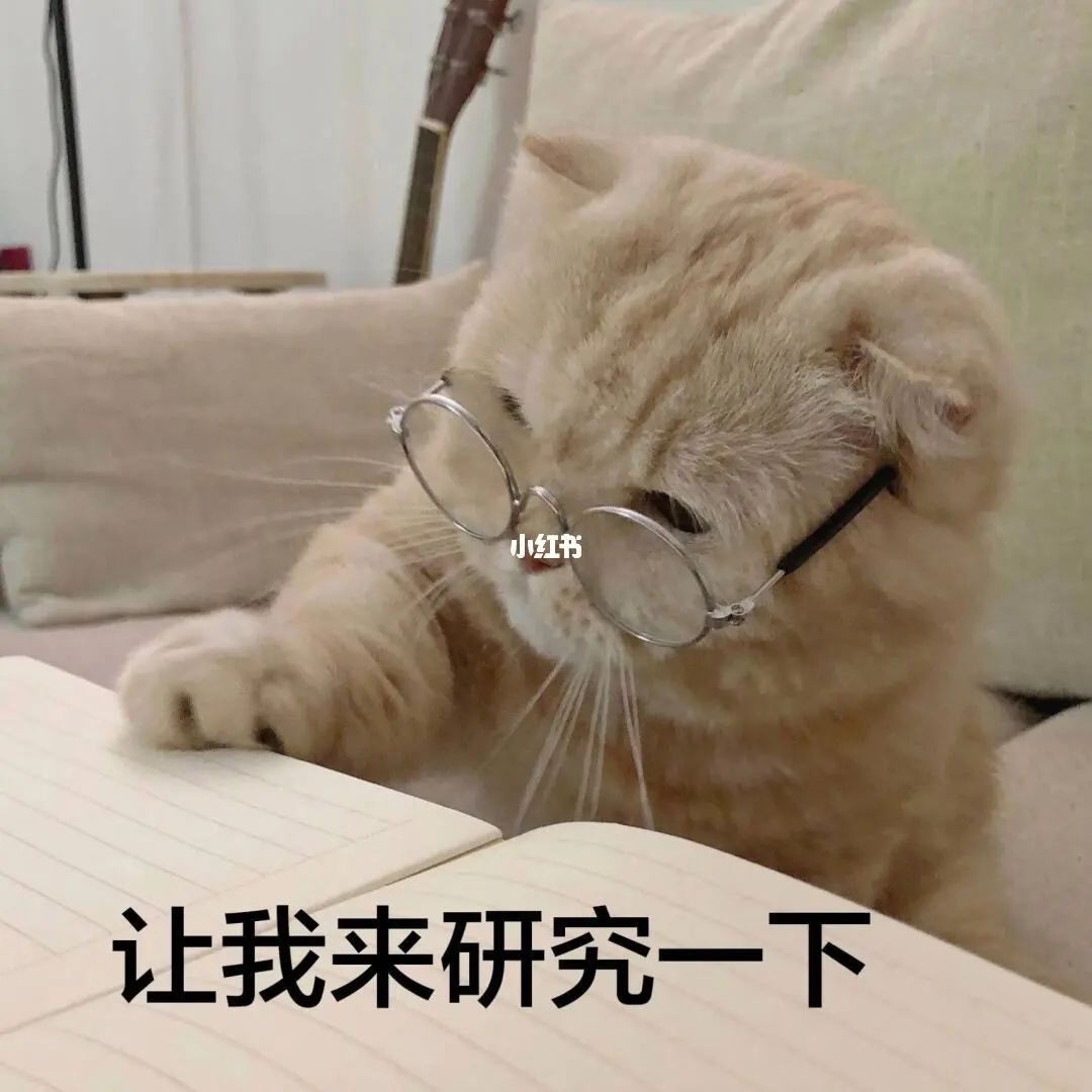口语练习丨如何愉快地开启一段英语对话？拒绝只会说“How are you”