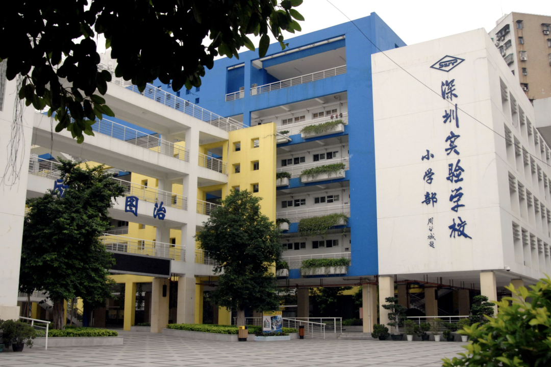 家长口碑爆棚！深圳福田区优质小学大盘点！往年成绩超亮眼！