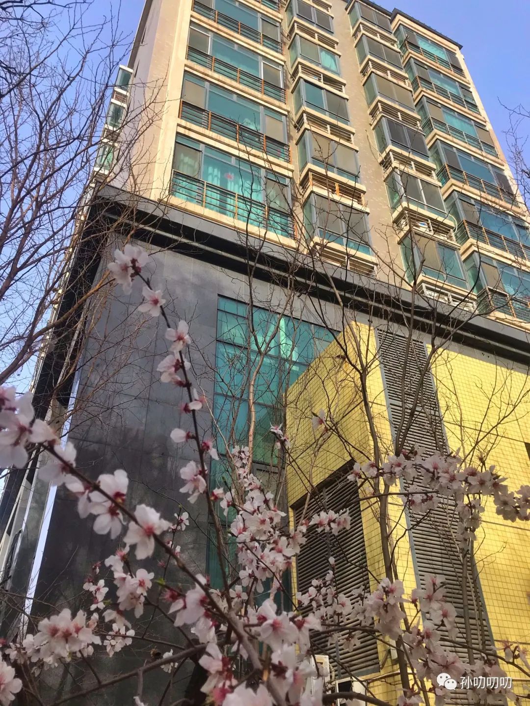 海淀北二环！西直门好位置！交通大学旁！交大附小！次新小区品阁公寓如何？
