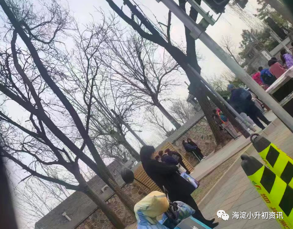 号角已经吹响！小升初简历制作应包含哪些内容？