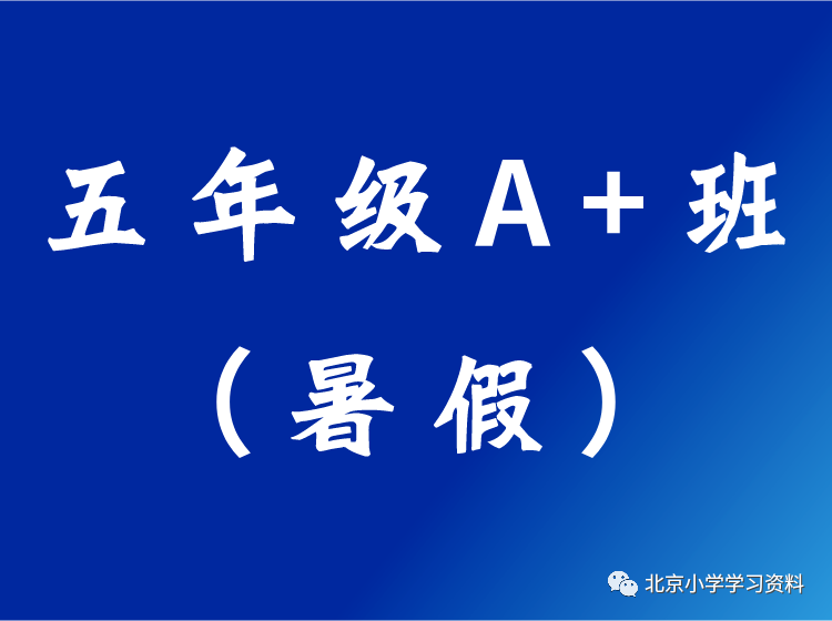 原学而思创新班负责人许泓宇五年级夏季A+班