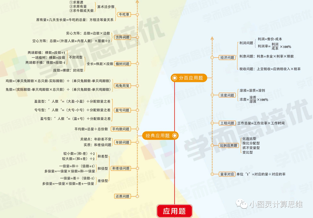 从课堂到奥数：小学数学思维培优 | 作业讲解 | 基本应用题