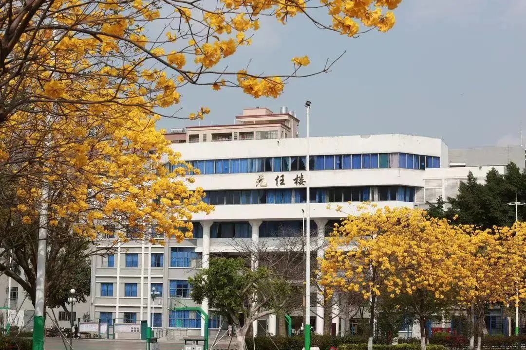 录取线排位57！光明区高级中学解读