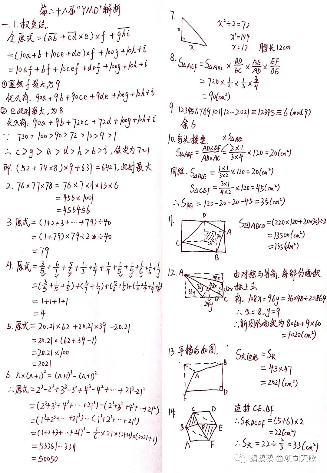 五年级YMO第二十八届解析