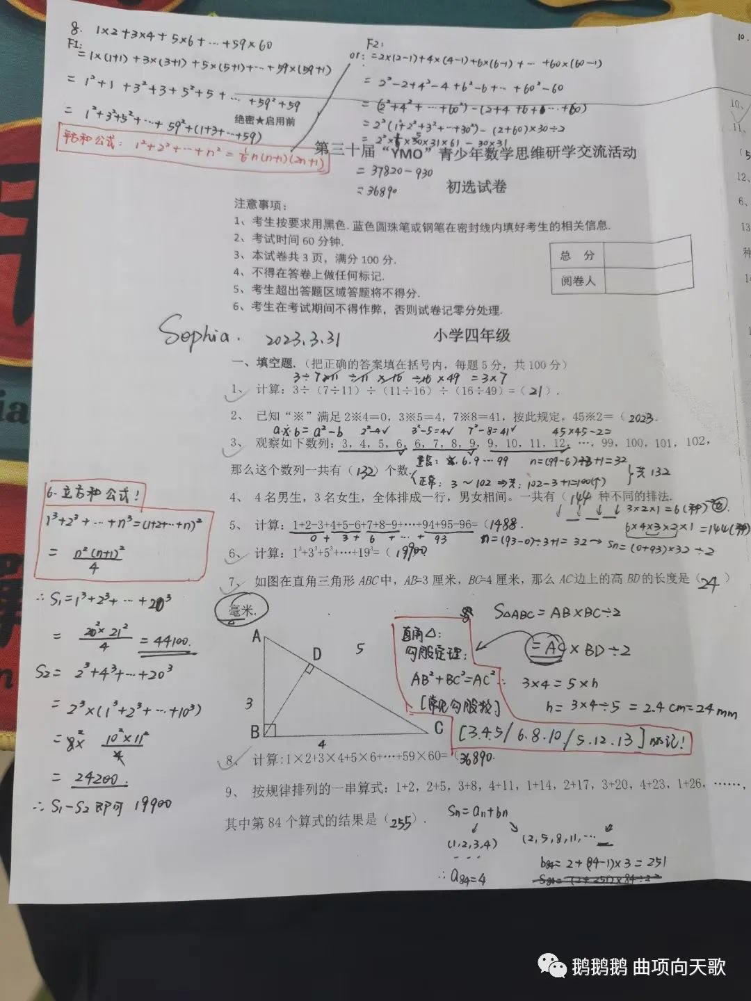ymo第三十届四年级初赛试题解析
