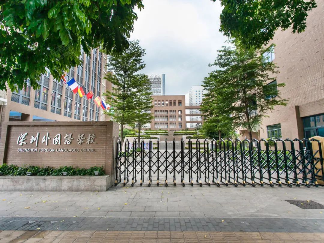 深圳家长豪掷50万，连“小升初”的门票都没拿到