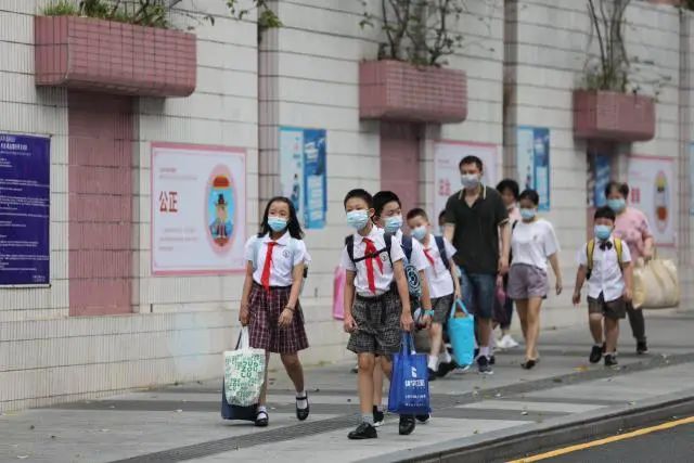 <b class="text-danger">深圳小升初</b>杯赛太多？哪些含金量高？
