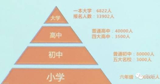 深圳初中小学招收情况，看了你会吓一跳