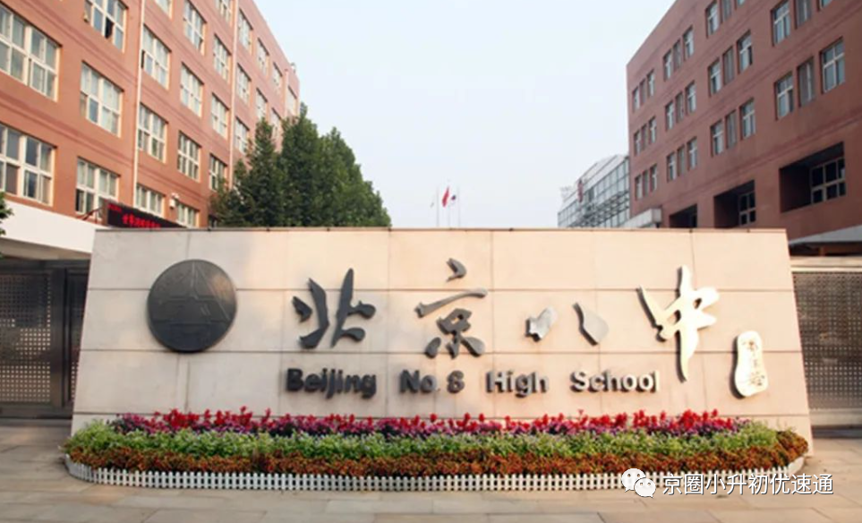 2023“八少八素”今日启动项目招生报名