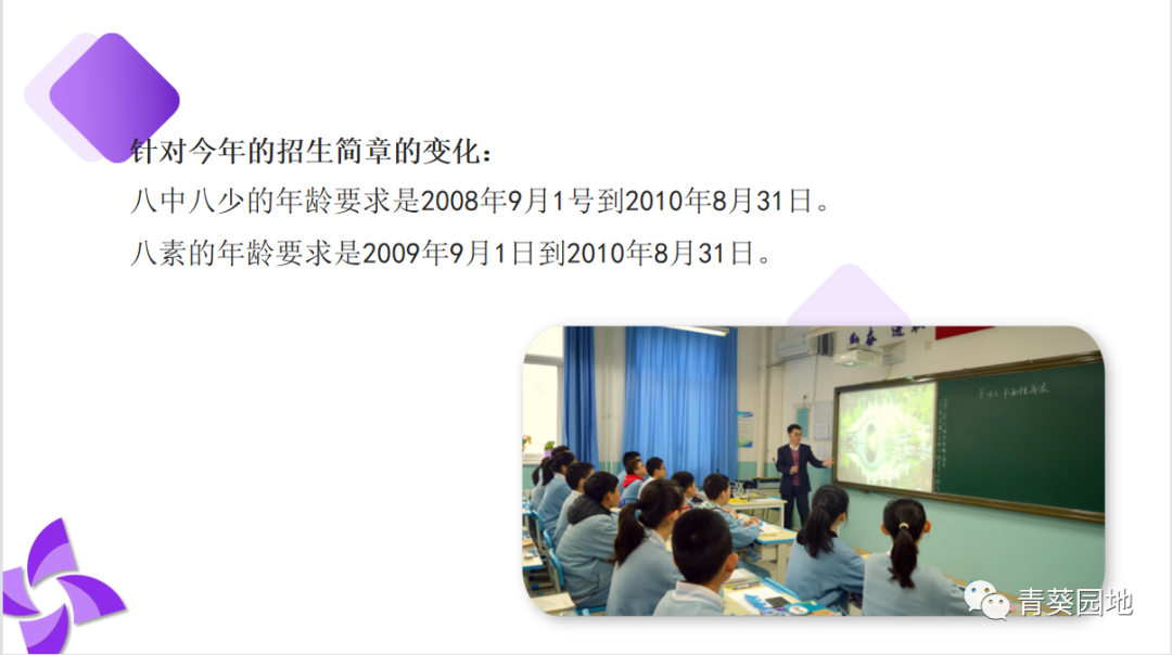 八少八素最全内部详解