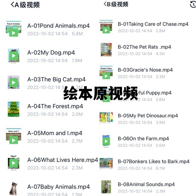 8a410b85f39cc109d59ddcd9035155e8.png
